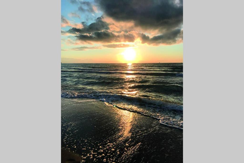 Ostsee-Ferienwohnung Uhlnuest Graal-Mueritz Gelbensande Exteriér fotografie