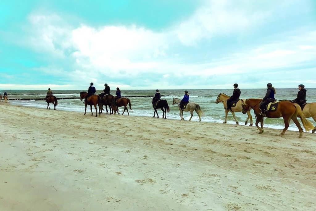 Ostsee-Ferienwohnung Uhlnuest Graal-Mueritz Gelbensande Exteriér fotografie