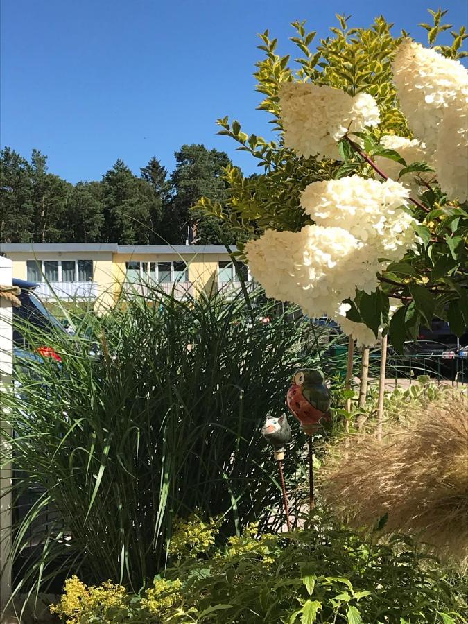 Ostsee-Ferienwohnung Uhlnuest Graal-Mueritz Gelbensande Exteriér fotografie